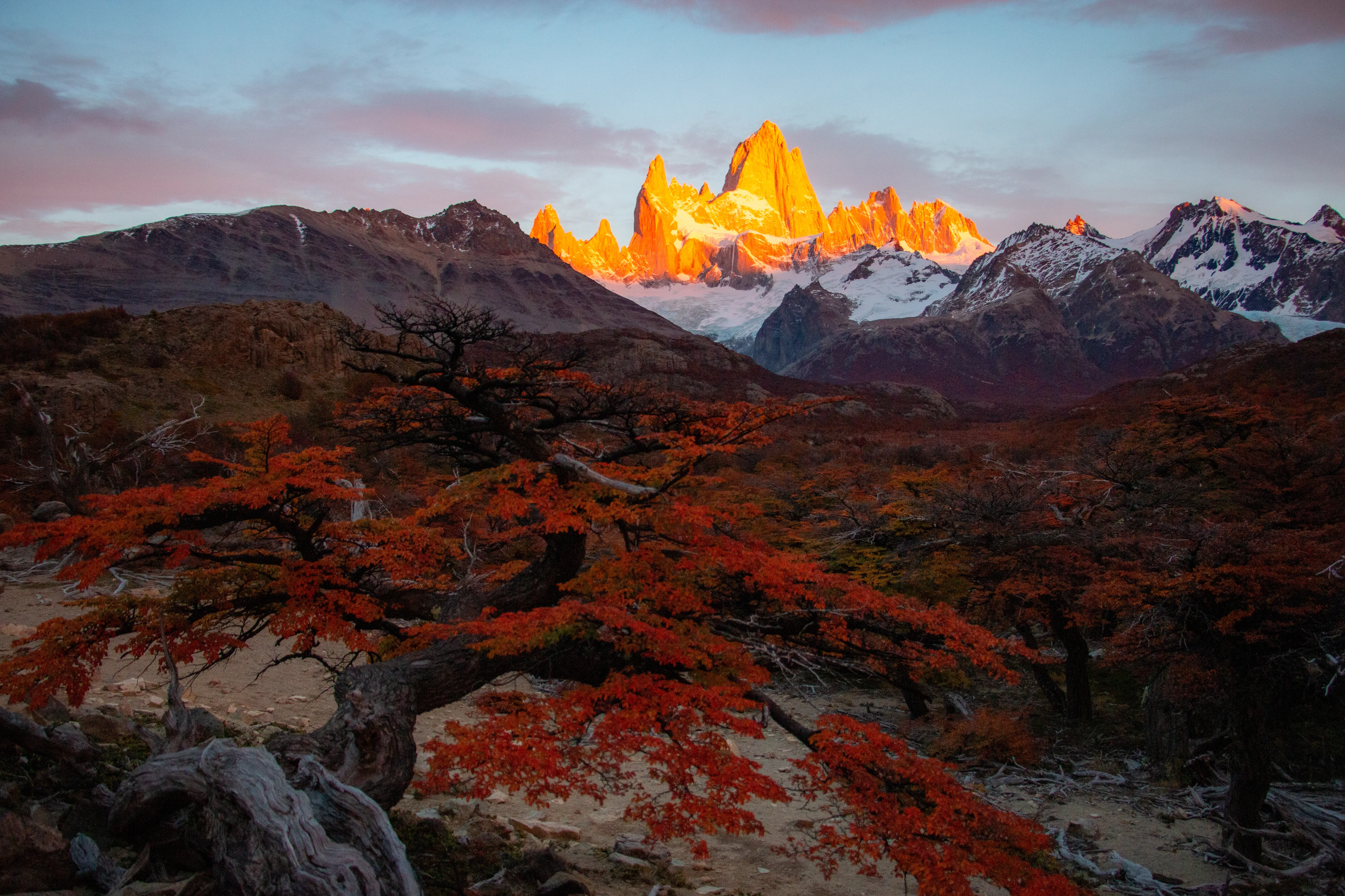 Mountain sunrise over red autumn trees