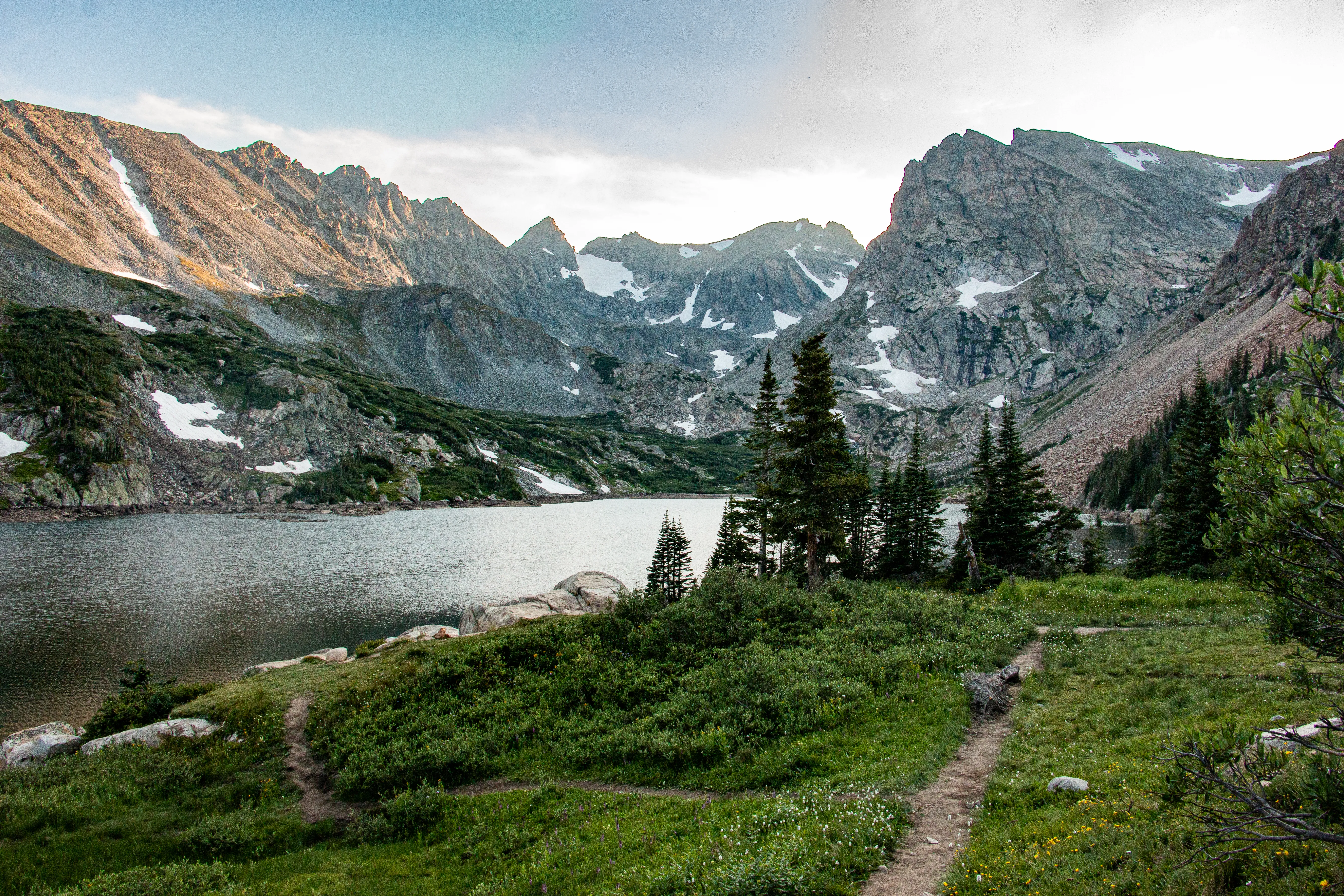 Wedding couple in a wide scenic portrait